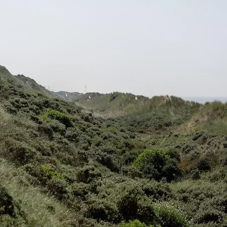 In Near The Seawall *